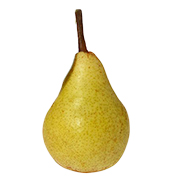 Hayward Hayward